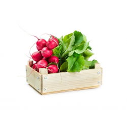 Hónapos retek - Cherry Belle - 100 g - Nagyon korai, intenzíven piros gyökerek - Friss vetőmagok