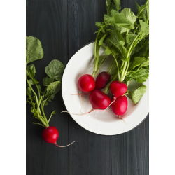 Hónapos retek - Cherry Belle - 100 g - Nagyon korai, intenzíven piros gyökerek - Friss vetőmagok