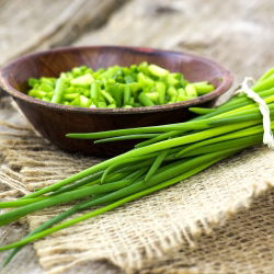 BIO Chives "Среден лист" - сертифицирани органични семена - 