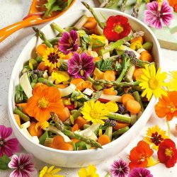 Edible Herbs and Flowers Mix seeds -  - benih