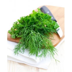 Taman dill "Emerald" - 500 g - 