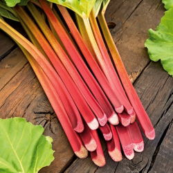 Rhubarb "Victoria" - 50 g - 