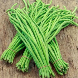 Hạt đậu đũa - Vigna sinensis - 60 hạt