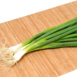 Cipolla d'inverno - Long White Ishikura - verde - 675 semi - Allium fistulosum