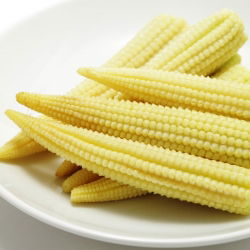 Tatlı mısır "Minigold"; Şekerli mısır, Kutuplu mısır - Zea mays convar. saccharata var. Rugosa - tohumlar