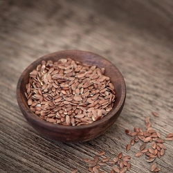 BIO Sprouting seeds - Flax - certified organic seeds; linseed