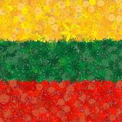 Litauische Flagge - eine Reihe von Samen von drei Blütenpflanzen Sorten - 