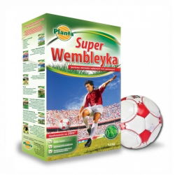 Super Wembleyka (Super Wembley) - césped resistente a la pisada - Planta - 0.5 kg - 