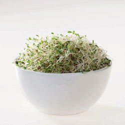 BIO Sprouting seeds - Evening primrose - certified organic seeds; suncups, sundrops