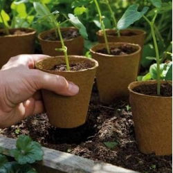 Runda torvkrukor ø6 cm - 100 stycken - 