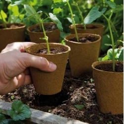 Round peat pots ø6 cm - 500 pieces