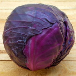 Fejes káposzta - Mars - Piros - Brassica oleracea convar. capitata var. Rubra - magok