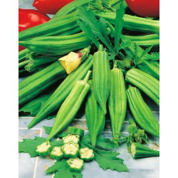 Okra - Clemson Spineless - 30 seemned - Abelmoschus esculentus