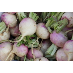 Voederraap "Rogowska" - 100 g - 