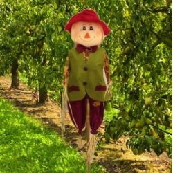 Scarecrow - Adam