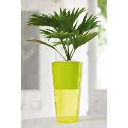 Hohe Topfhülle "Vulcano Tube" - 20 cm - transparent gelb - 