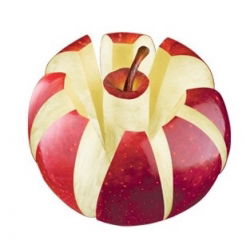 Apple viilutaja ja südamik - PRESTO - 