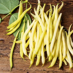 Жълт френски боб "Златна сакса"- NANO-GRO - увеличава обема на реколтата с 30%