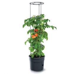 Vaso per coltivazione del pomodoro con paletti - Tomato Grower - ø 29,5 cm - 