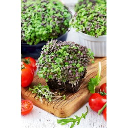 Microgreens - Mizuna - 100 g - Jemná kořenitost, živě křupavé listy - Čerstvá semena