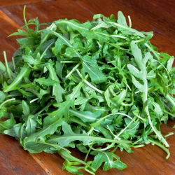 Rucola Eruca Sativa - seemneteip; rakett - 