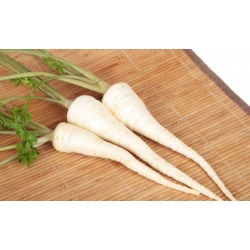 Sakņu pētersīļi - Olomoucká - 100 g - Aromātiskas saknes zupām un garšvielām - Svaigas sēklas