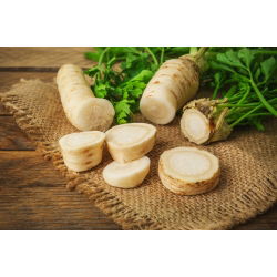 Sakņu pētersīļi - Alba - 50 g - Piemērots svaigam tirgum un uzglabāšanai - Svaigas sēklas