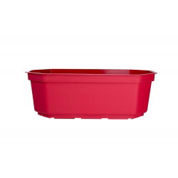 Cactus maceta 24.5 cm - rojo cereza - 