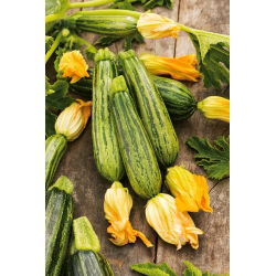 Zucchino - Lajkonik - 100 g - Varietà versatile per sottaceti e ratatouille - Semi Freschi