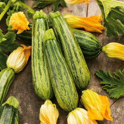 Zucchino - Lajkonik - 100 g - Varietà versatile per sottaceti e ratatouille - Semi Freschi