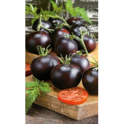 Blackball pole paradajok - 