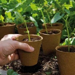 Pot rond en tourbe ø11 x 13 cm - 50 pièces - 