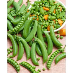 Pisello a grano rugoso - Ambrosia - Dolce, tenero, maturazione precoce - Semi Freschi