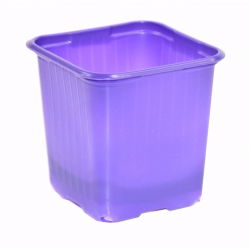Vaso quadrato per piante 8x8 cm - viola - 20 pezzi - 