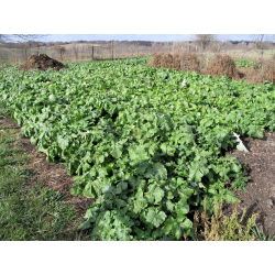Voederraap "Polybra" - 500 g - 