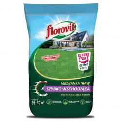 Greitai auganti veja - super greita veja! - Florovit - 5 kg sėklų