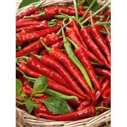 Перець "Посейдон" - гарячий - 70 насінин - Capsicum L. - насіння