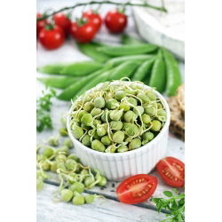 Semi per Germogli - Pisello - 500 g - Germogli nutrienti e facili da coltivare - Semi Freschi