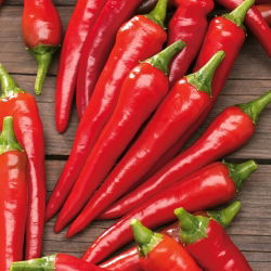 เมล็ดพริกป่น Cayenne - พริก annuum - 65 เมล็ด - Capsicum L.