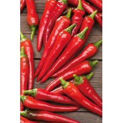 เมล็ดพริกป่น Cayenne - พริก annuum - 65 เมล็ด - Capsicum L.
