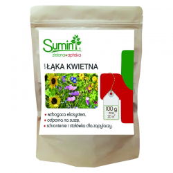 Blomstereng med 20 innfødte blomstrende plantearter - Sumin - 100 g - 