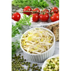 Sprouts - zaden - Gewone boon - Mung - 250g - 5250 zaden - Phaseolus aureus