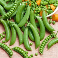 Semi di fave e piselli - selezione di 4 varietà - 