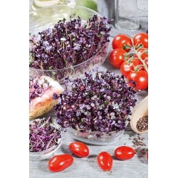 Semi per germogli - Ravanello - Sango - 500 g - Germogli colorati e nutrienti