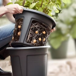 Pot de culture de pommes de terre avec fonction d'élimination facile des tubercules - ø 30 cm - 