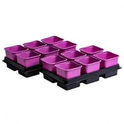 Vaso quadrato rosa 8 x 8 cm - 12 pezzi + due vassoi - 