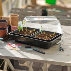 Mini-estufa aquecida com termostato - ideal para germinação de plantas - 19 x 38 x 24 cm - 