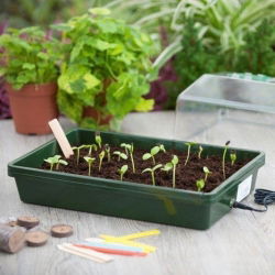 Mini-estufa aquecida com termostato - ideal para germinação de plantas - 19 x 38 x 24 cm - 