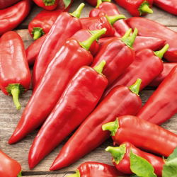 Paprika - Parade - Siltumnīcas prieks, salda un piemērota pildīšanai - Svaigas sēklas
