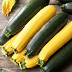 Bučka - mešana sorta - 100g semena (Cucurbita pepo)